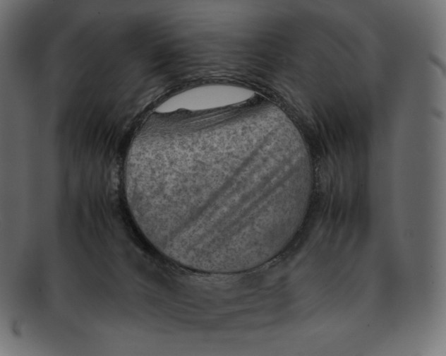 X0000092050032200710101024