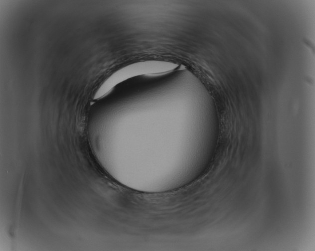 X0000092050033200710101024