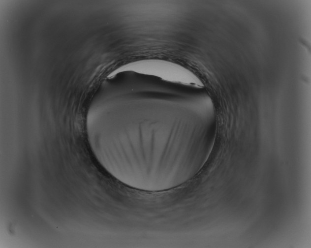 X0000092050035200710101024