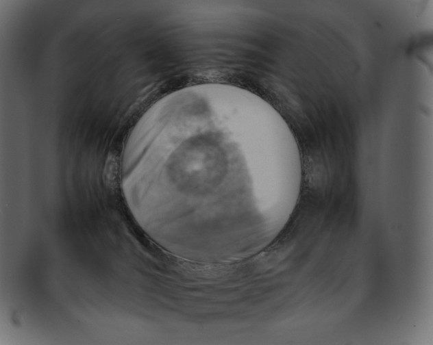 X0000092050036200710101024