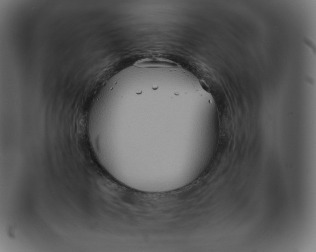 X0000092050037200710101024