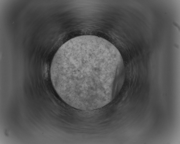 X0000092050038200710101024