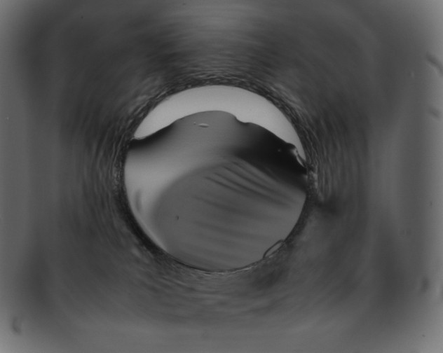 X0000092050039200710101024