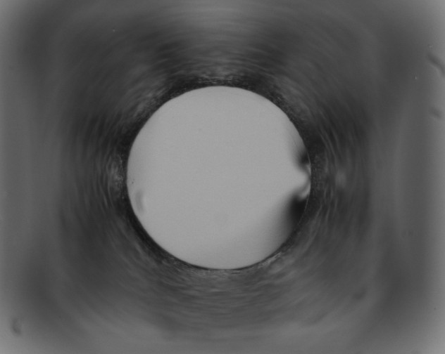 X0000092050040200710101023