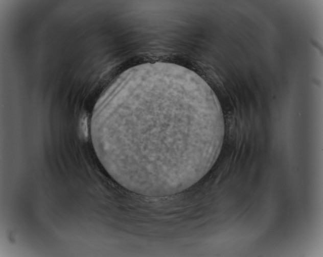 X0000092050042200710101023