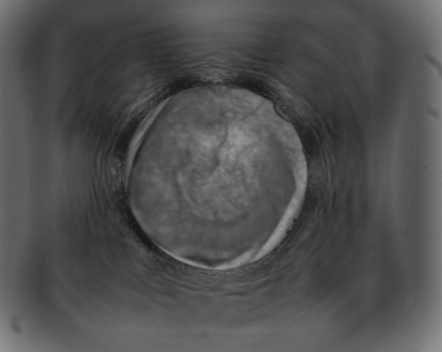 X0000092050043200710101023