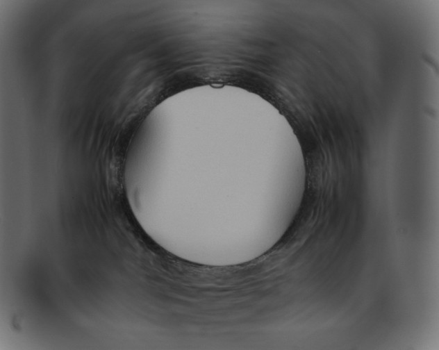 X0000092050044200710101023