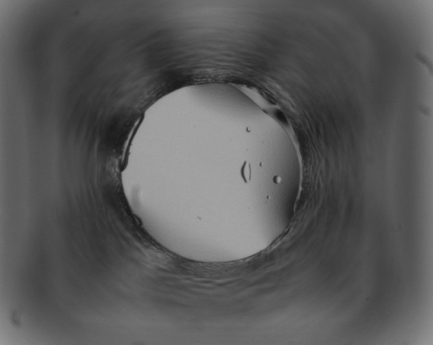 X0000092050045200710101023