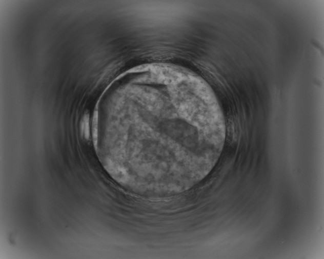 X0000092050046200710101023