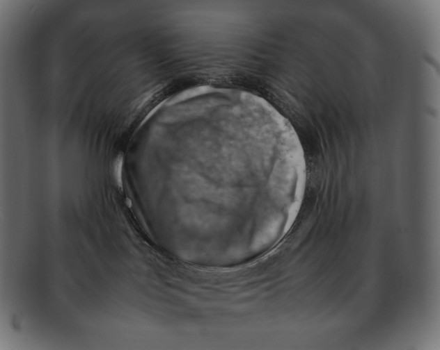 X0000092050047200710101023