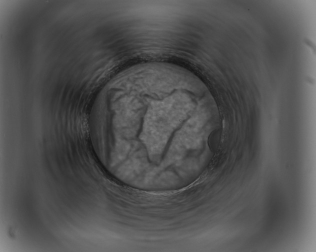 X0000092050048200710101023