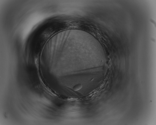 X0000092050052200710101023