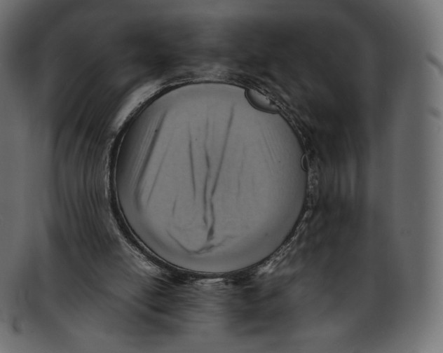 X0000092050054200710101023