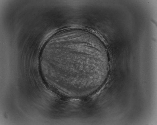 X0000092050055200710101023