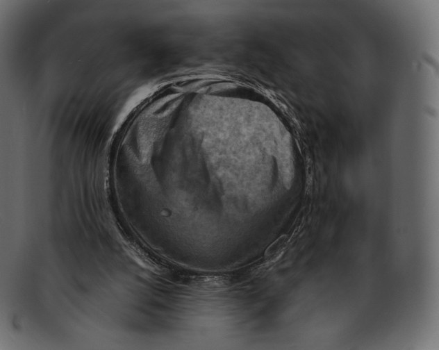 X0000092050056200710101023