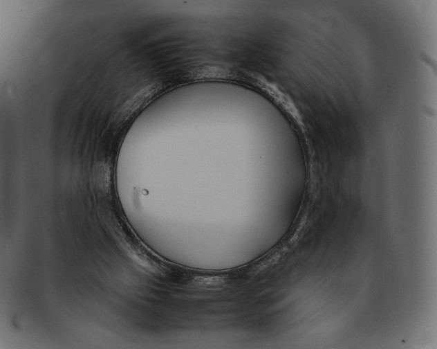 X0000092050057200710101023