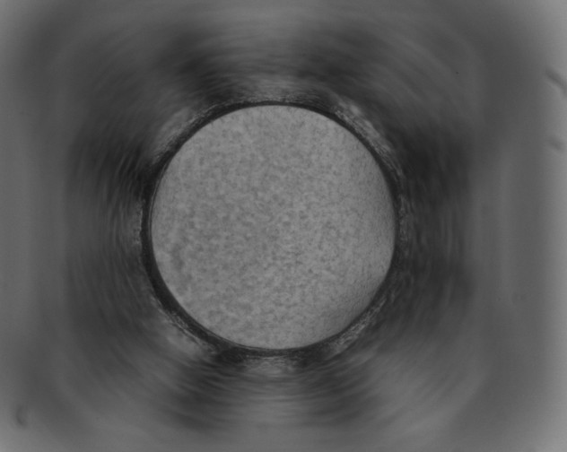 X0000092050058200710101023