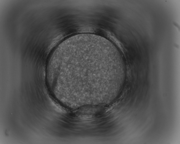 X0000092050059200710101023