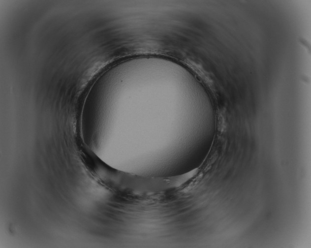 X0000092050060200710101023