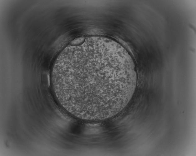 X0000092050061200710101023