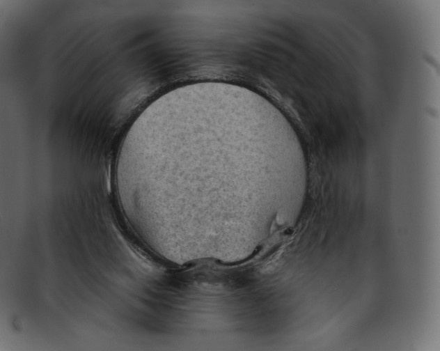 X0000092050062200710101023