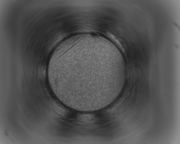 X0000092050063200710101023