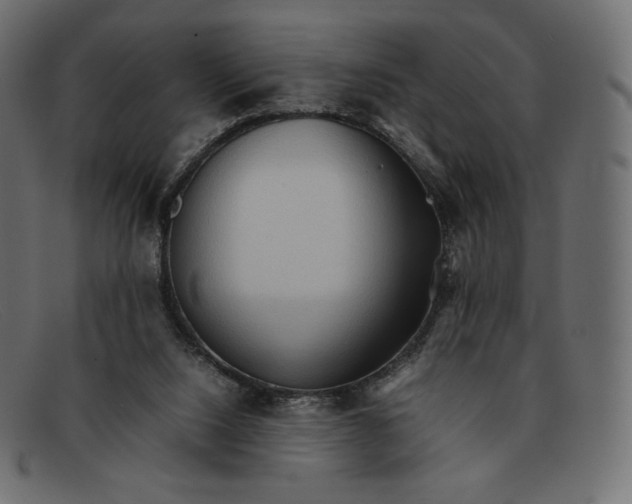 X0000092050064200710101023