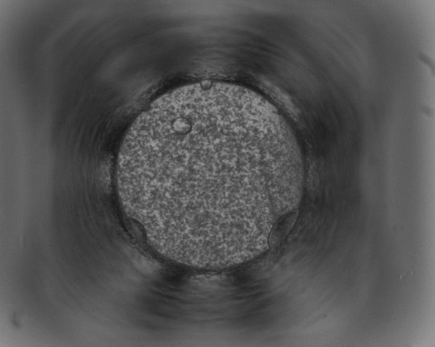 X0000092050065200710101023