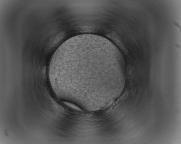 X0000092050066200710101023