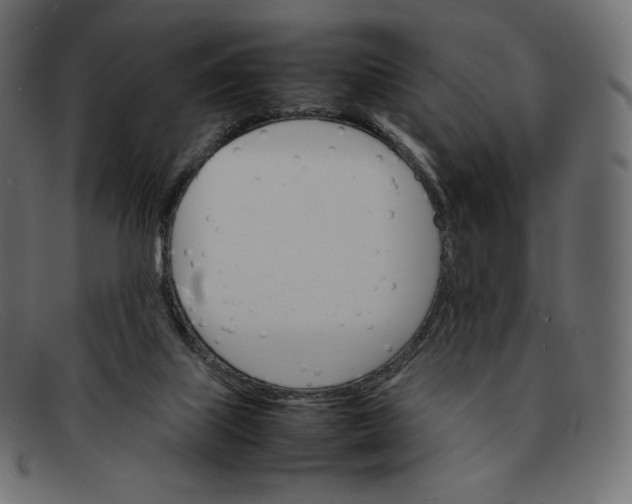 X0000092050067200710101023