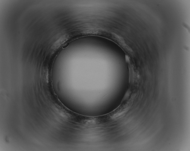 X0000092050068200710101023