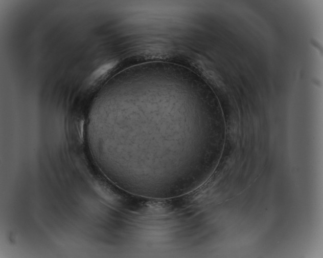 X0000092050070200710101023