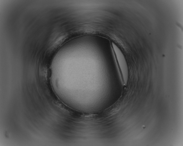 X0000092050072200710101023