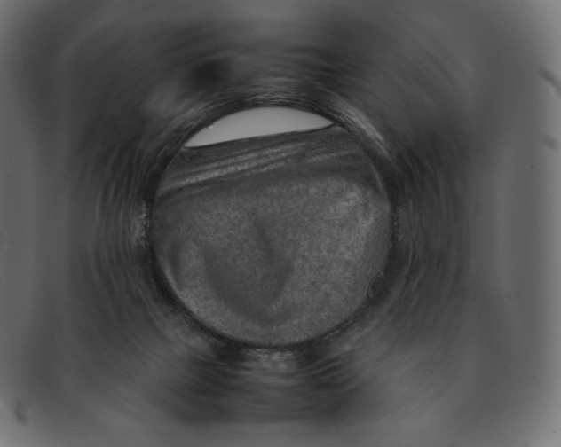 X0000092050073200710101023