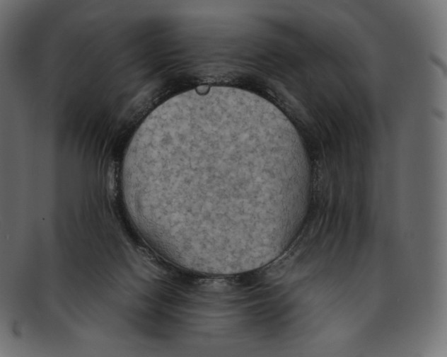 X0000092050074200710101023