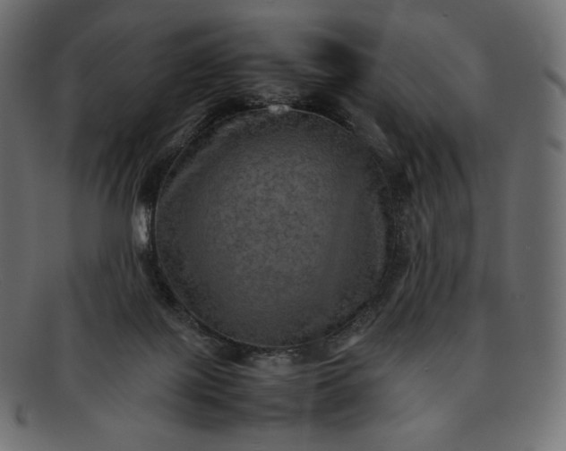 X0000092050075200710101023