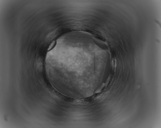 X0000092050080200710101023