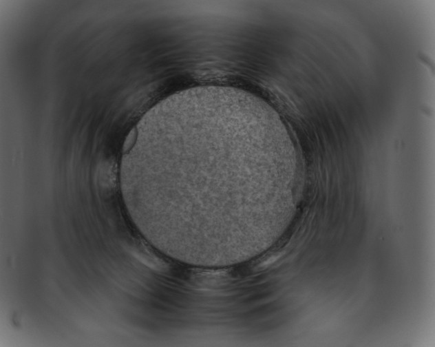 X0000092050081200710101023