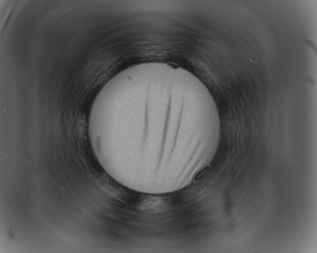 X0000092050083200710101023