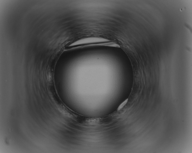 X0000092050084200710101023