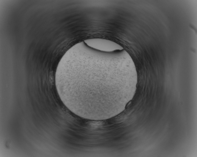 X0000092050085200710101023