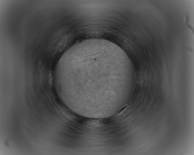 X0000092050086200710101023