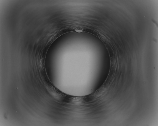 X0000092050088200710101023