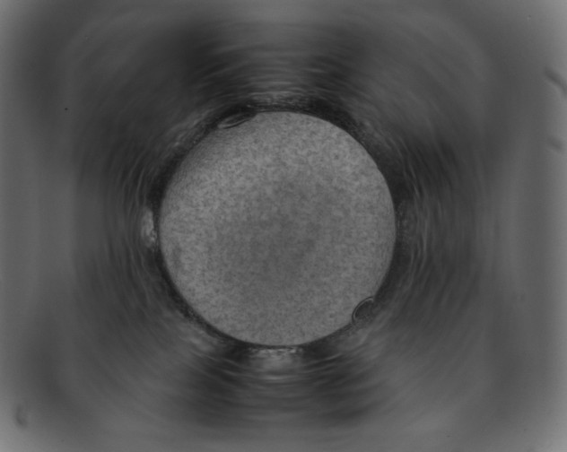 X0000092050089200710101023