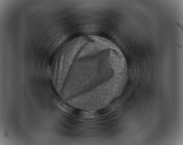 X0000092050093200710101023