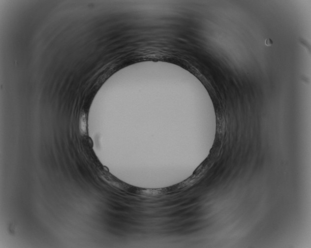 X0000092050095200710101023