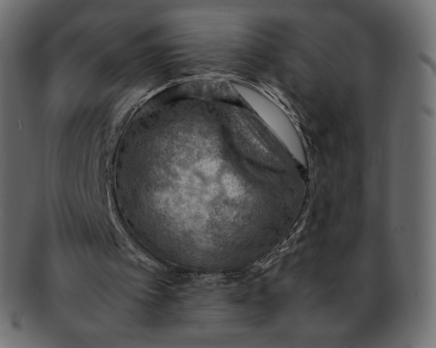 X0000092050097200710101023