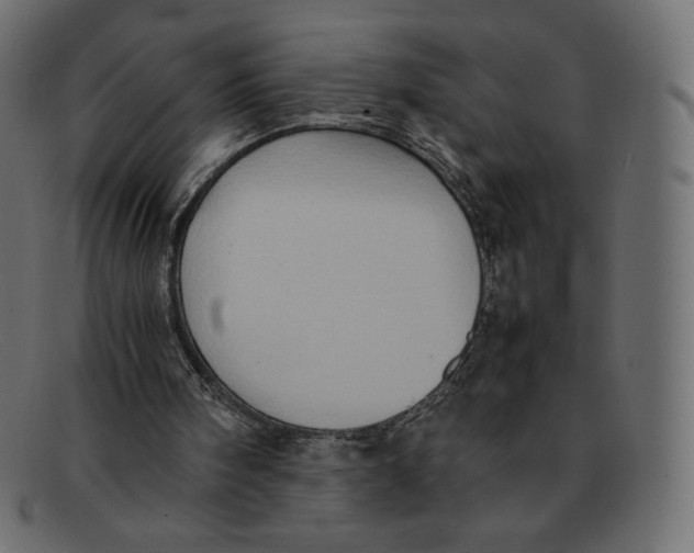 X0000092050098200710101023