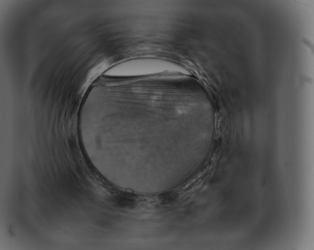 X0000092050099200710101023