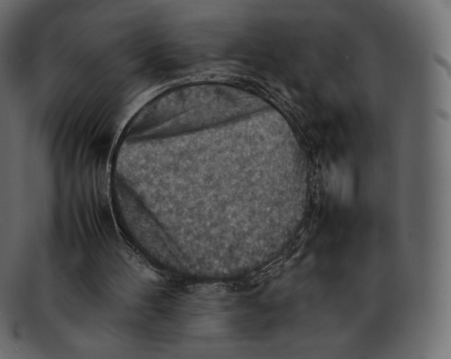 X0000092050100200710101023